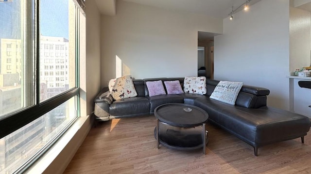 living room featuring rail lighting and wood-type flooring