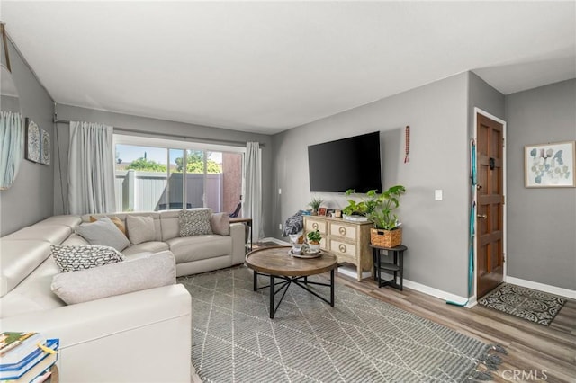 living room with hardwood / wood-style floors