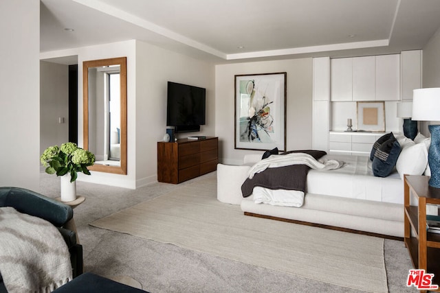 bedroom featuring light colored carpet and a tray ceiling