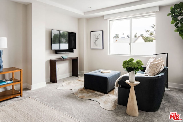 sitting room with carpet flooring