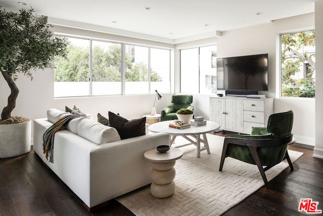 living room with dark wood-type flooring