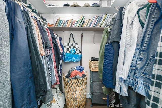 view of walk in closet