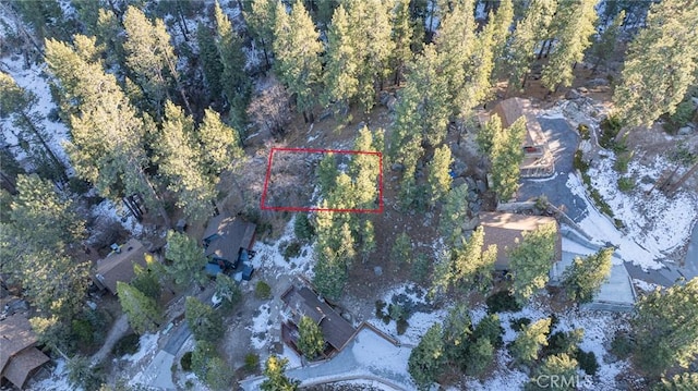 Listing photo 2 for 0 Canyon Trl, Big Bear Lake CA 92315