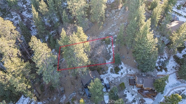 0 Canyon Trl, Big Bear Lake CA, 92315 land for sale