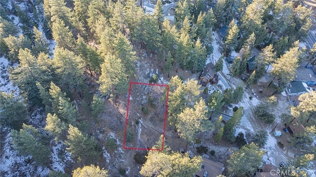 Listing photo 3 for 0 Canyon Trl, Big Bear Lake CA 92315