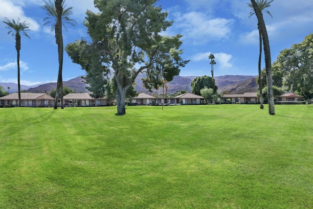 view of yard with a mountain view