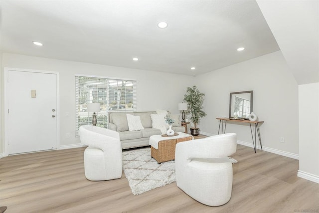 living room featuring light hardwood / wood-style floors