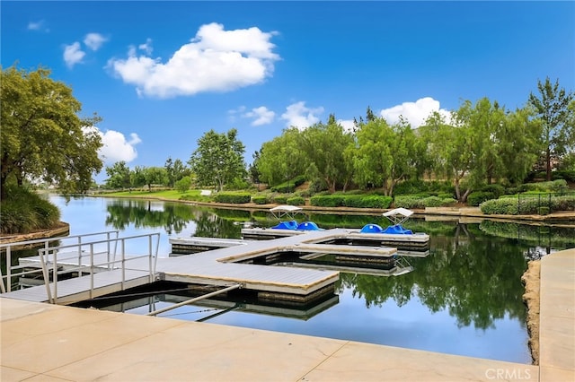 dock area with a water view