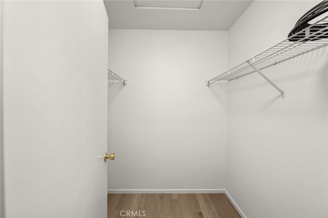 spacious closet featuring hardwood / wood-style flooring