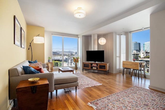 living room featuring hardwood / wood-style flooring and a wall of windows