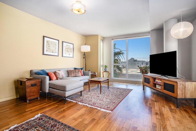 living room featuring hardwood / wood-style floors