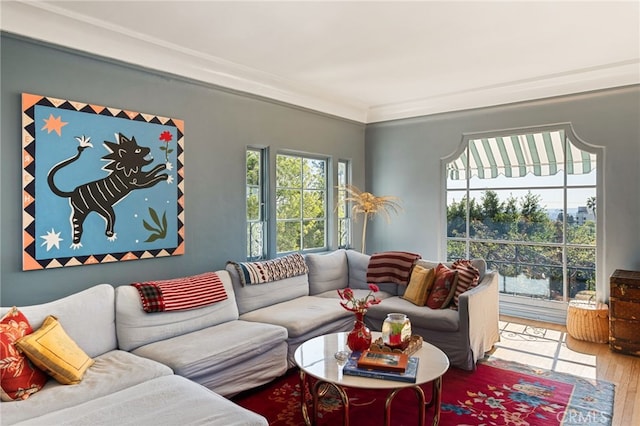 living room with hardwood / wood-style flooring and crown molding