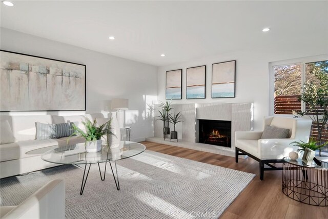 living room featuring hardwood / wood-style flooring