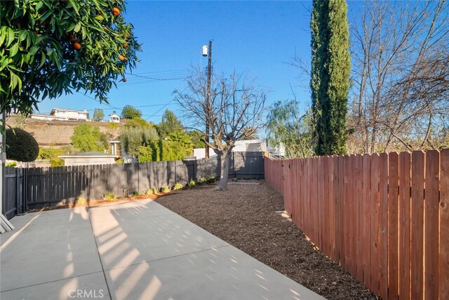 view of yard with a patio area