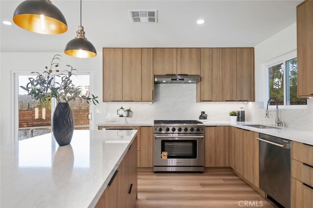 kitchen featuring appliances with stainless steel finishes, tasteful backsplash, hanging light fixtures, range hood, and sink