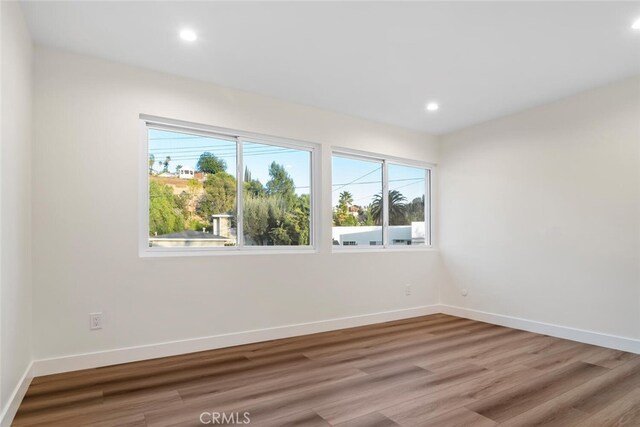 spare room featuring wood-type flooring