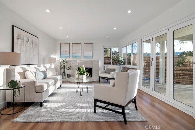 living room featuring light hardwood / wood-style floors