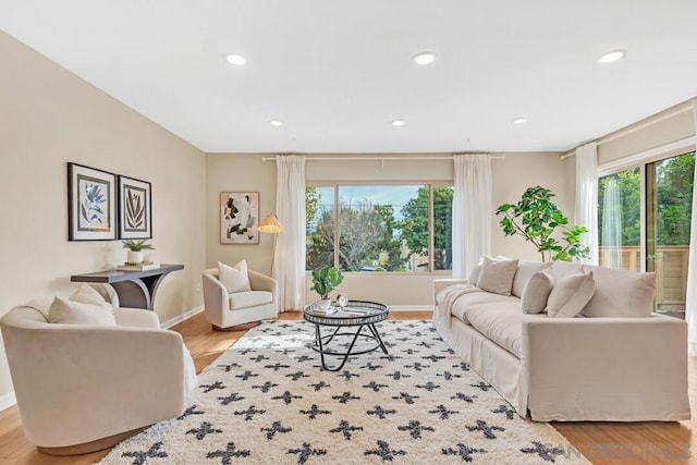 living room with light hardwood / wood-style floors