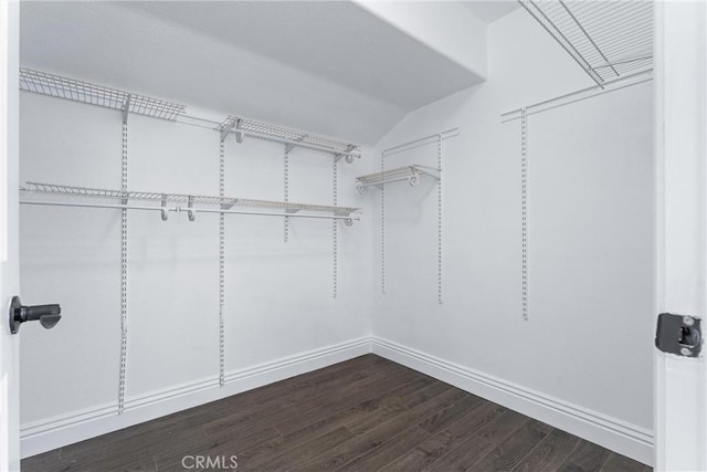 walk in closet with lofted ceiling and dark hardwood / wood-style flooring