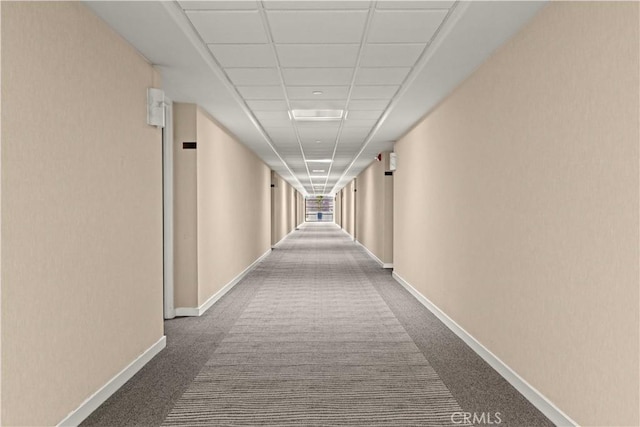 corridor with dark colored carpet and a drop ceiling