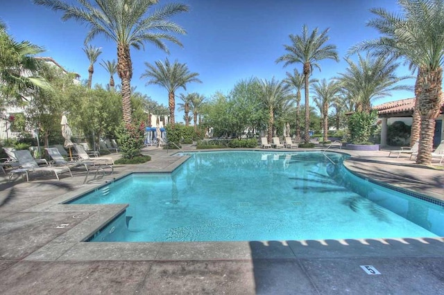 view of swimming pool featuring a patio