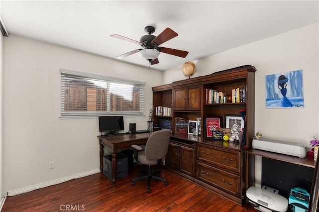 office featuring ceiling fan and dark hardwood / wood-style floors