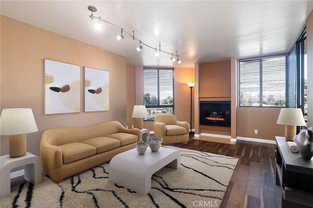 living room with dark wood-type flooring