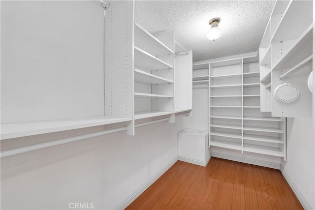 spacious closet with light hardwood / wood-style flooring