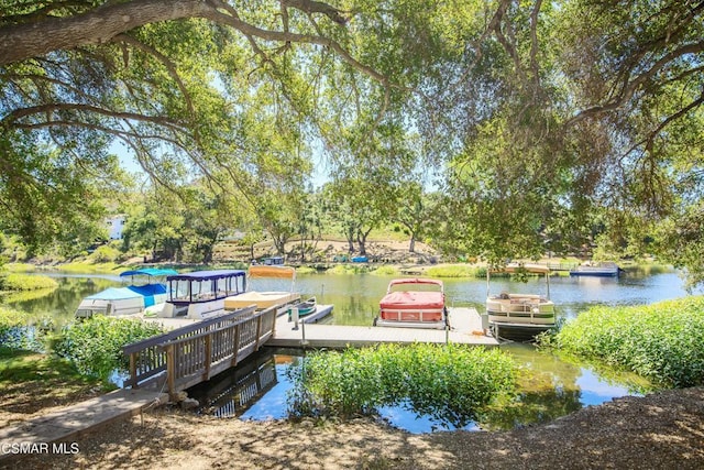 dock area with a water view