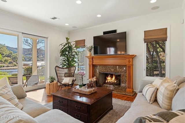 living room with hardwood / wood-style floors, a mountain view, a high end fireplace, and ornamental molding