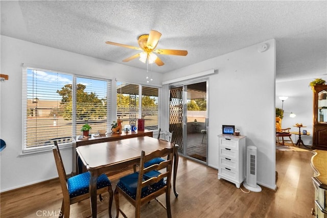 dining space featuring ceiling fan, plenty of natural light, light hardwood / wood-style flooring, and a textured ceiling