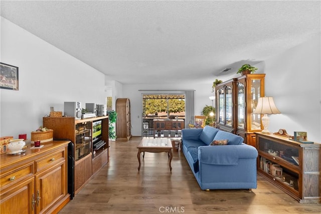 living room featuring hardwood / wood-style floors and a textured ceiling