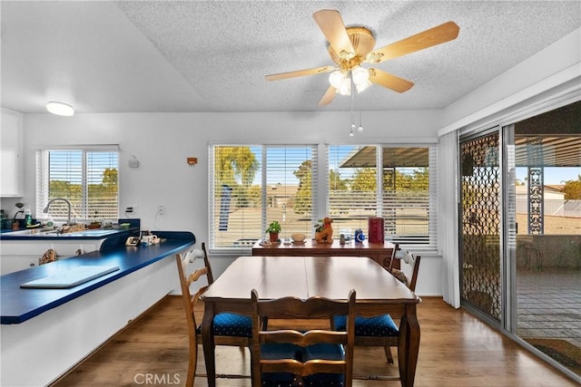 dining room with sink, hardwood / wood-style flooring, a textured ceiling, and ceiling fan