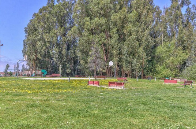 view of yard featuring a playground