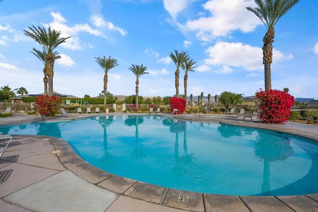 view of swimming pool featuring a patio area