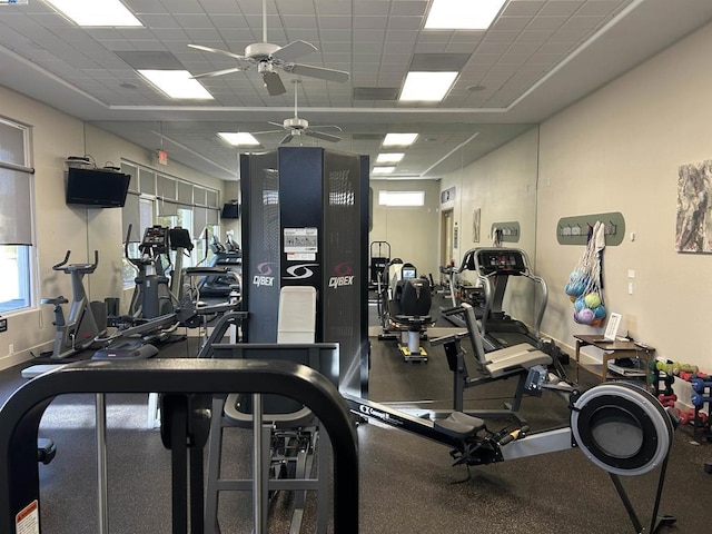 workout area with a paneled ceiling and ceiling fan