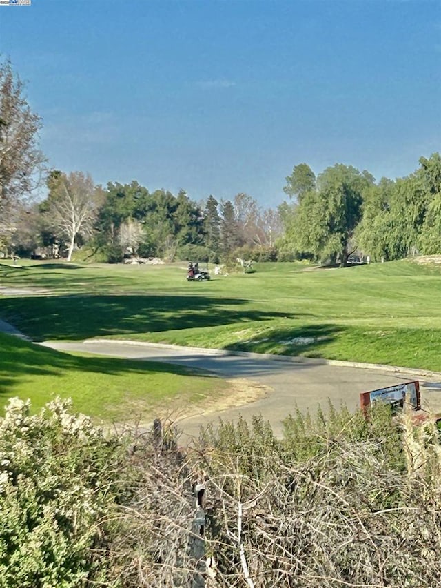 surrounding community featuring a lawn