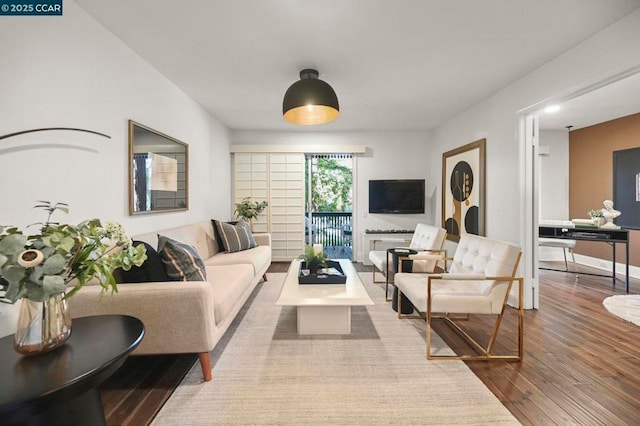 living room featuring wood-type flooring