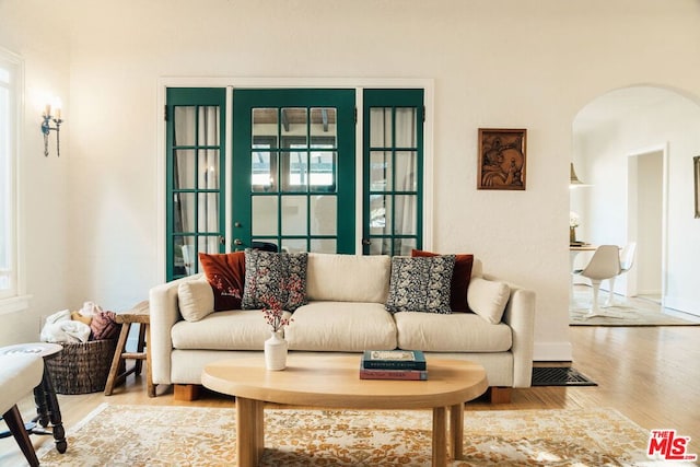 living room featuring wood-type flooring