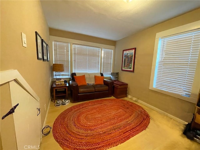 view of carpeted living room