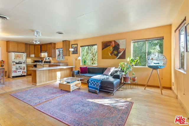 living room featuring light hardwood / wood-style flooring