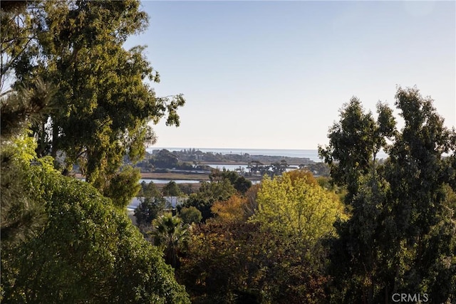 view of nature featuring a water view