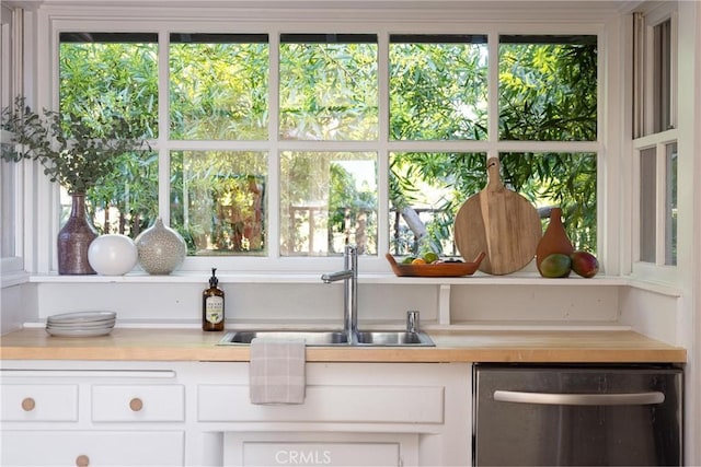 kitchen featuring white cabinets, dishwasher, and a sink