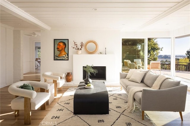 interior space featuring crown molding, a fireplace, and wood finished floors