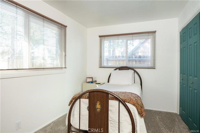 bedroom featuring carpet floors and a closet