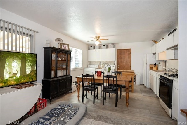 dining room featuring ceiling fan, washer / clothes dryer, and light wood-type flooring