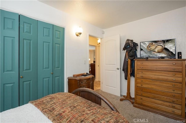 bedroom with carpet floors and a closet