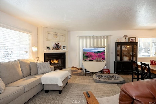 living room featuring a textured ceiling and carpet flooring