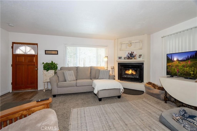 view of carpeted living room