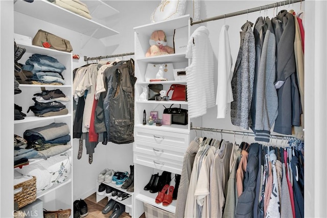 view of walk in closet